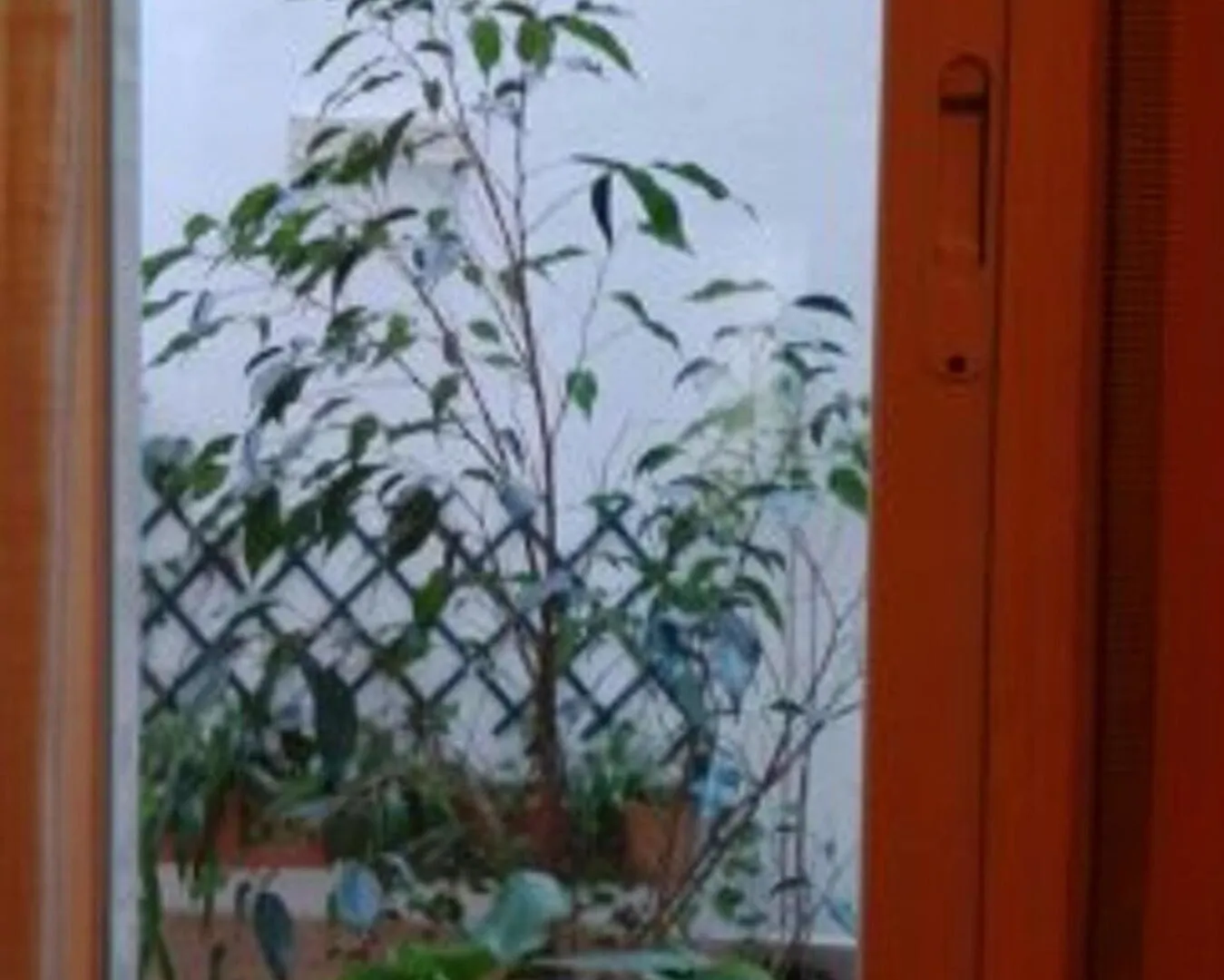 Apartment With 3 Bedrooms In Granada, With Wonderful City View And Wif